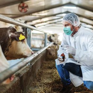 Módulo 2: Gestión de la Producción Pecuaria