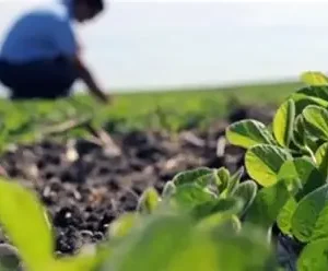 Módulo 1: Gestión de la producción de cultivos